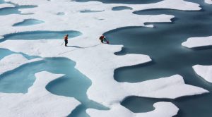 sea ice and melt pools